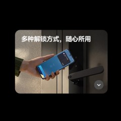 华为智能门锁 SE标准版 AI指纹锁 15个月超长续航 电子门铃 家用防盗门密码锁 NFC电子锁AGS-L10
